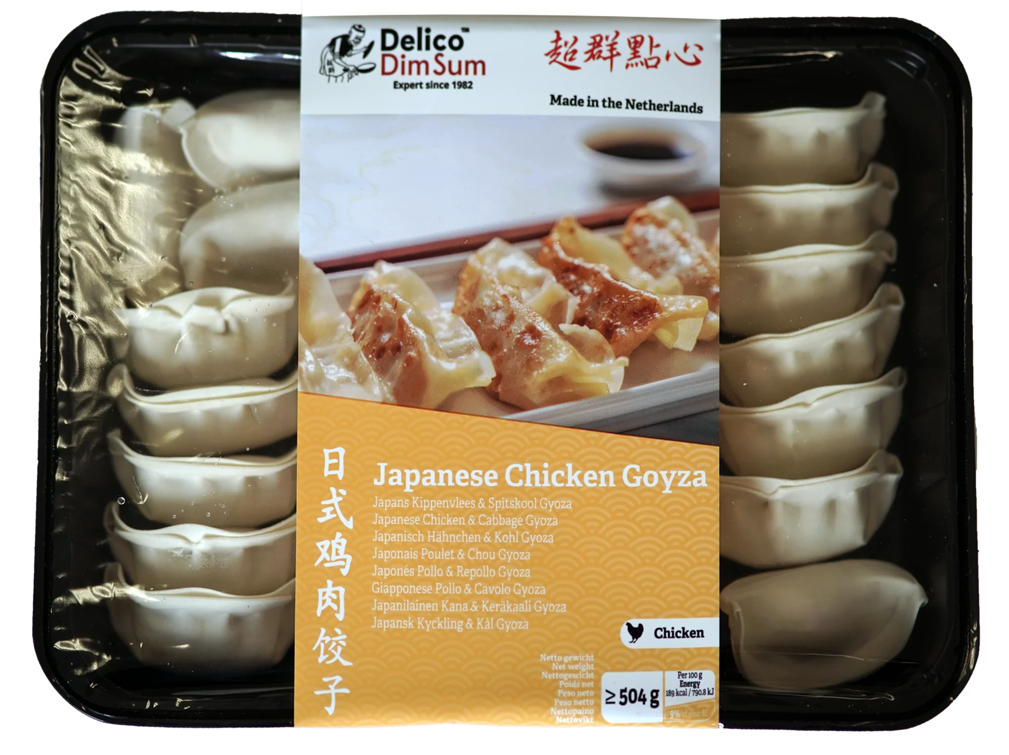 Japanese Chicken Gyoza